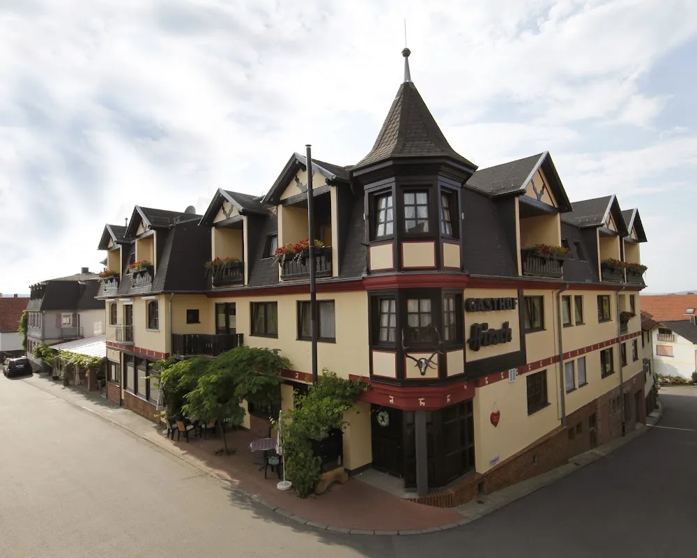 Gasthof - Pension Zur Traube - Oberzent pet otel görseli 5