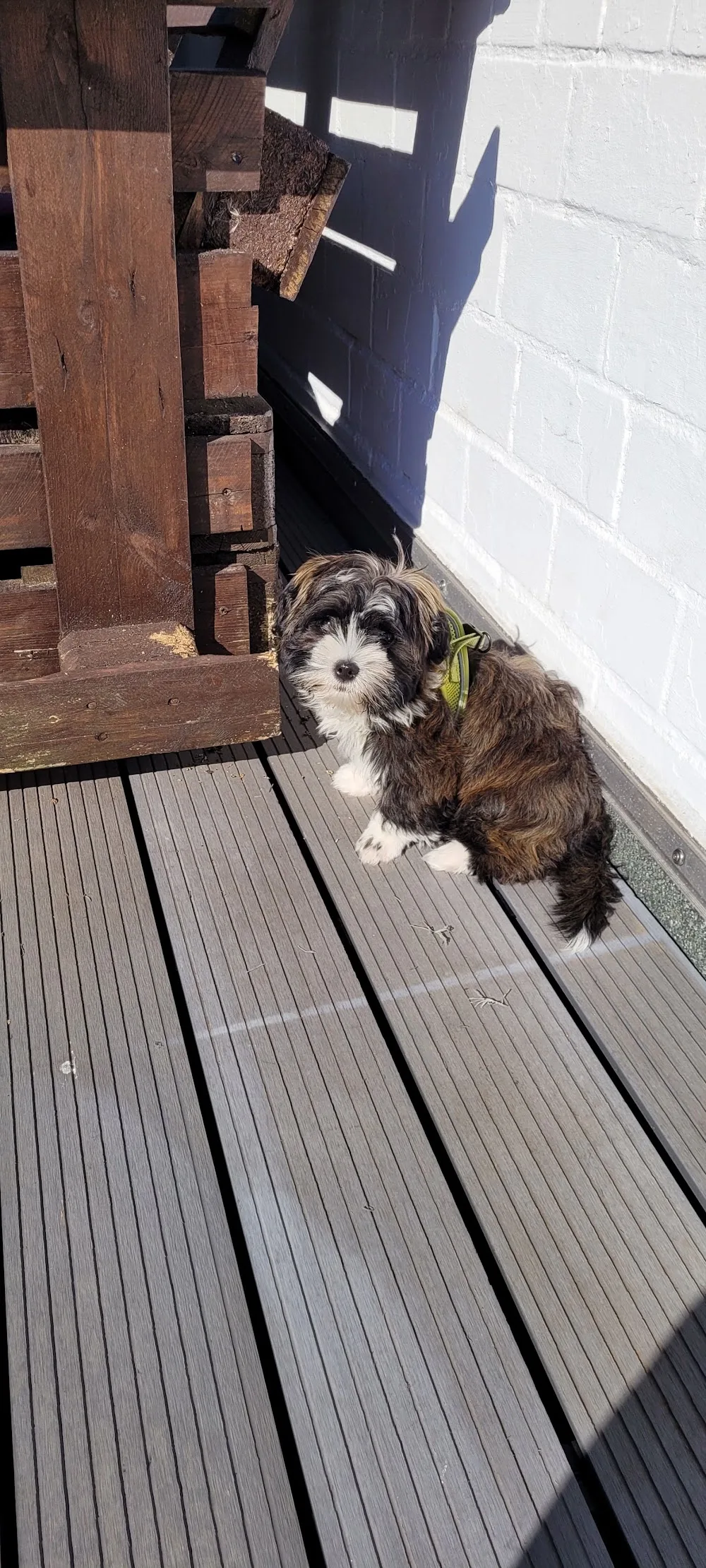 Hundecampus Odenwald - Oberzent pet otel görseli 3