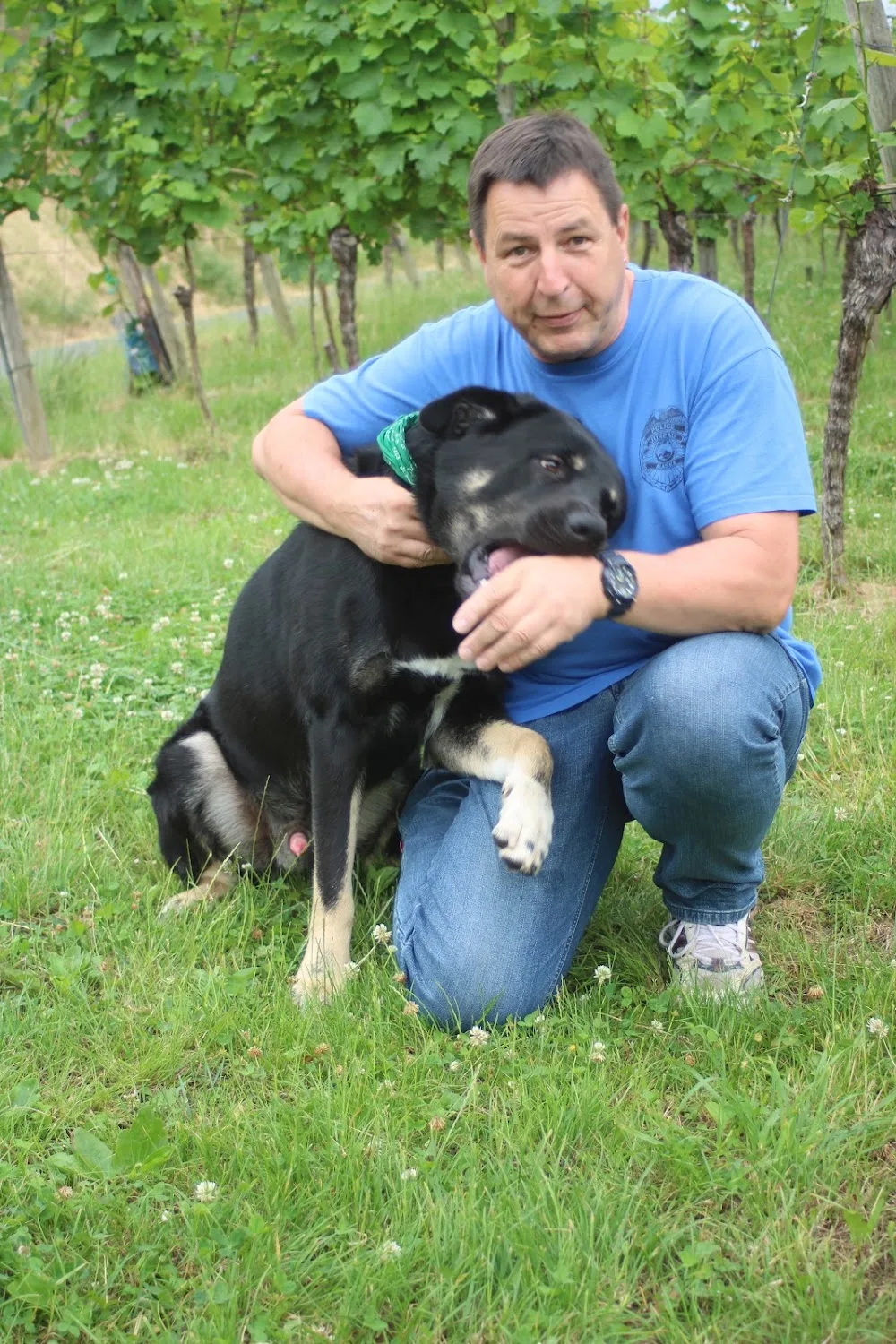 Hundepension mit Herz - Oberzent pet otel
