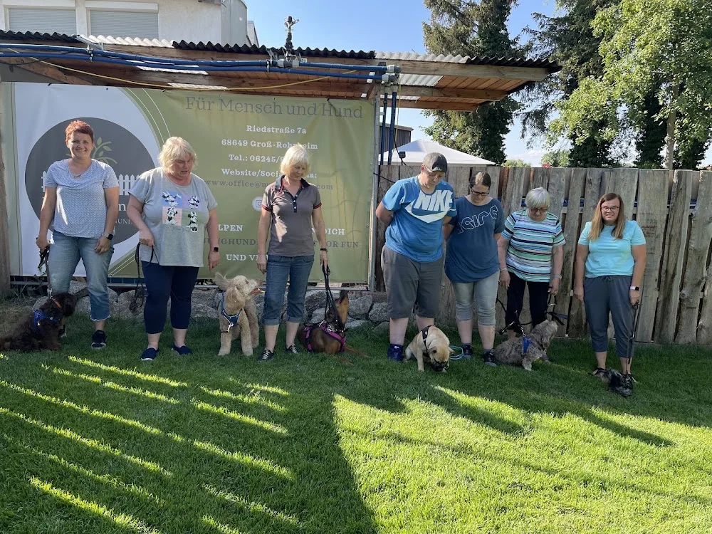 My Dog Ranch Hundeschule - Oberzent pet otel