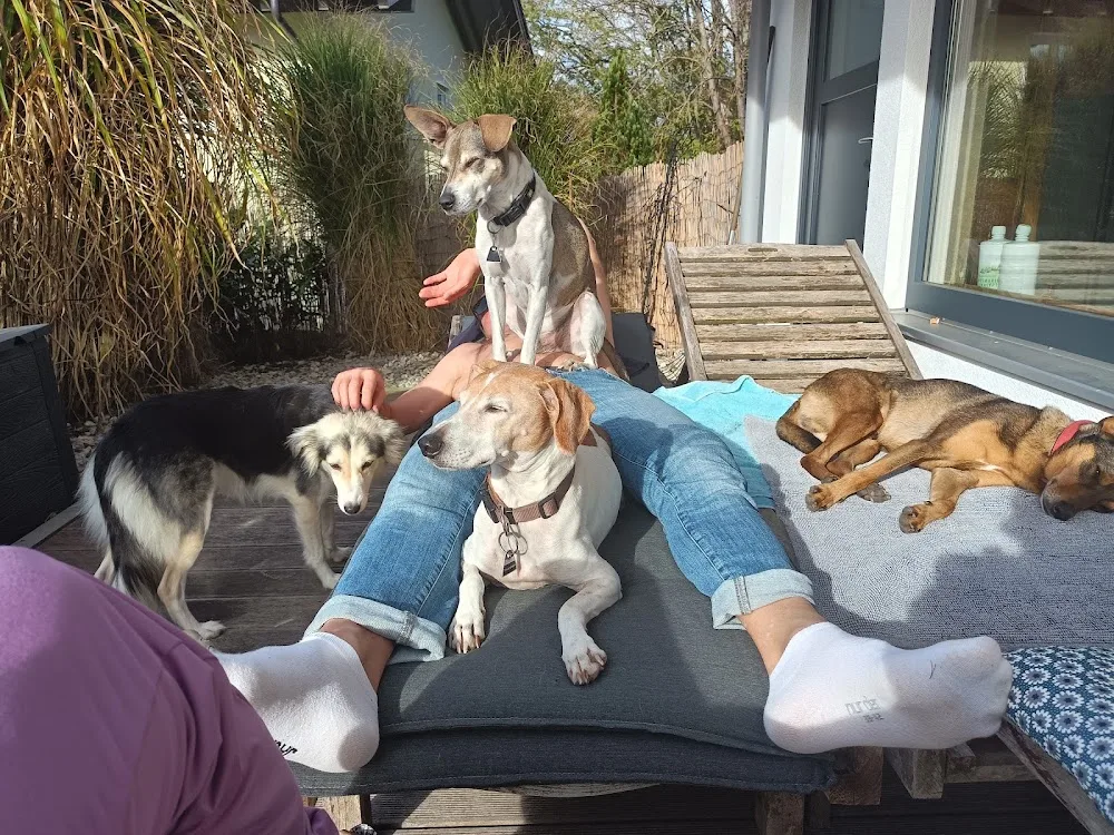 Christianes Hundepension Pfotenglück - Obing pet otel görseli 6