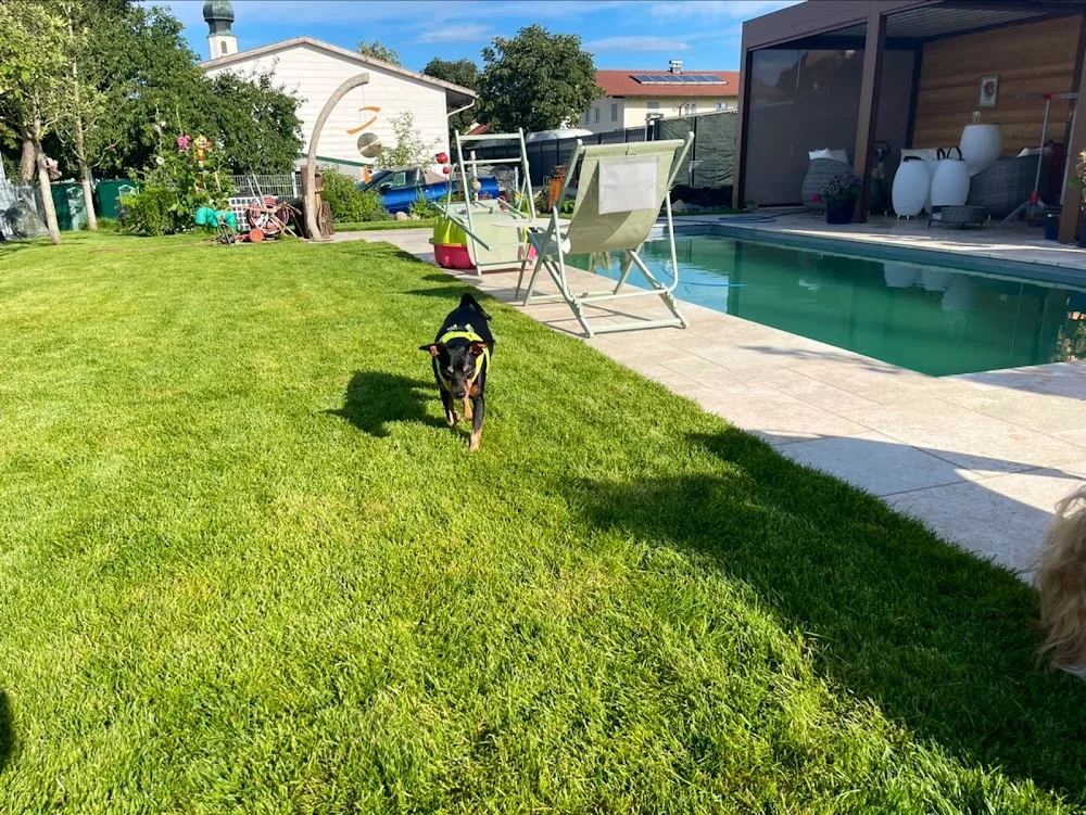 Hundepension KleineHundepension - Obing pet otel görseli 3