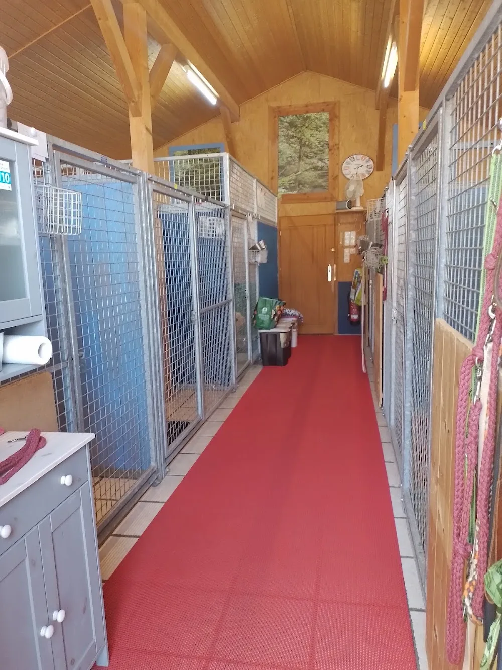 Hundepension Wagingersee - Obing pet otel görseli 3