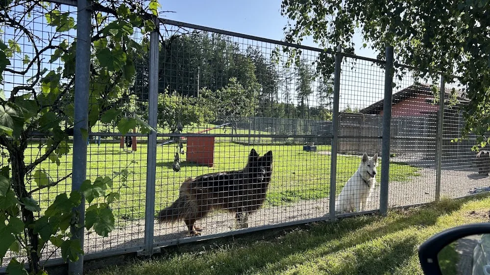 Tierpension Hainz - Obing pet otel