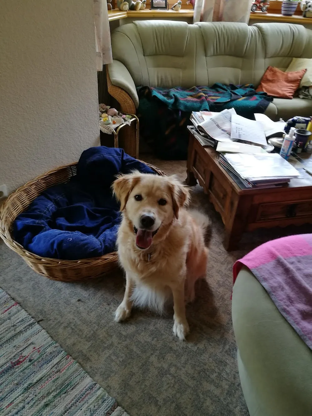 Tierpension Hainz - Obing pet otel görseli 7