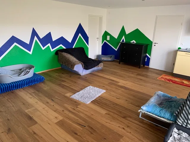 Rund ums Tier - Obwalden pet otel görseli 3