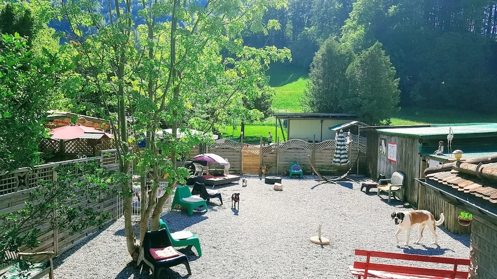 V.I.Pets Morgarten - Hundepension - Obwalden pet otel görseli 3
