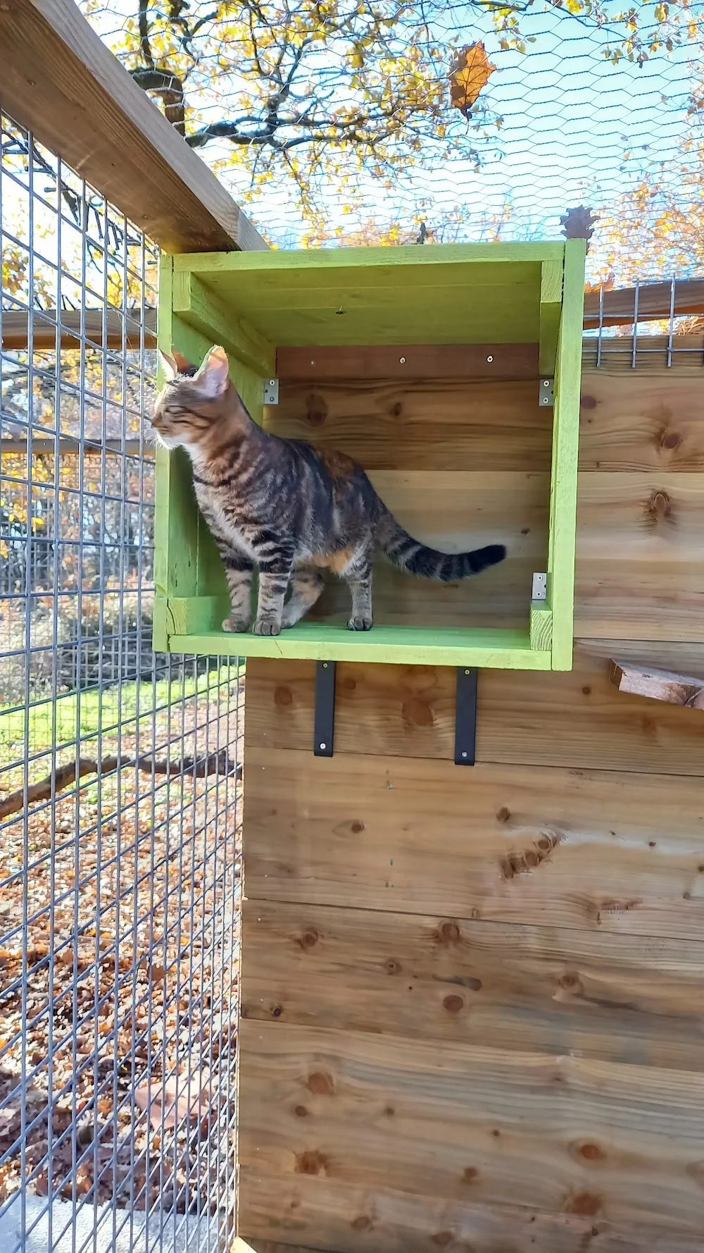 A L'Ombre Des Chênes - Occitanie pet otel