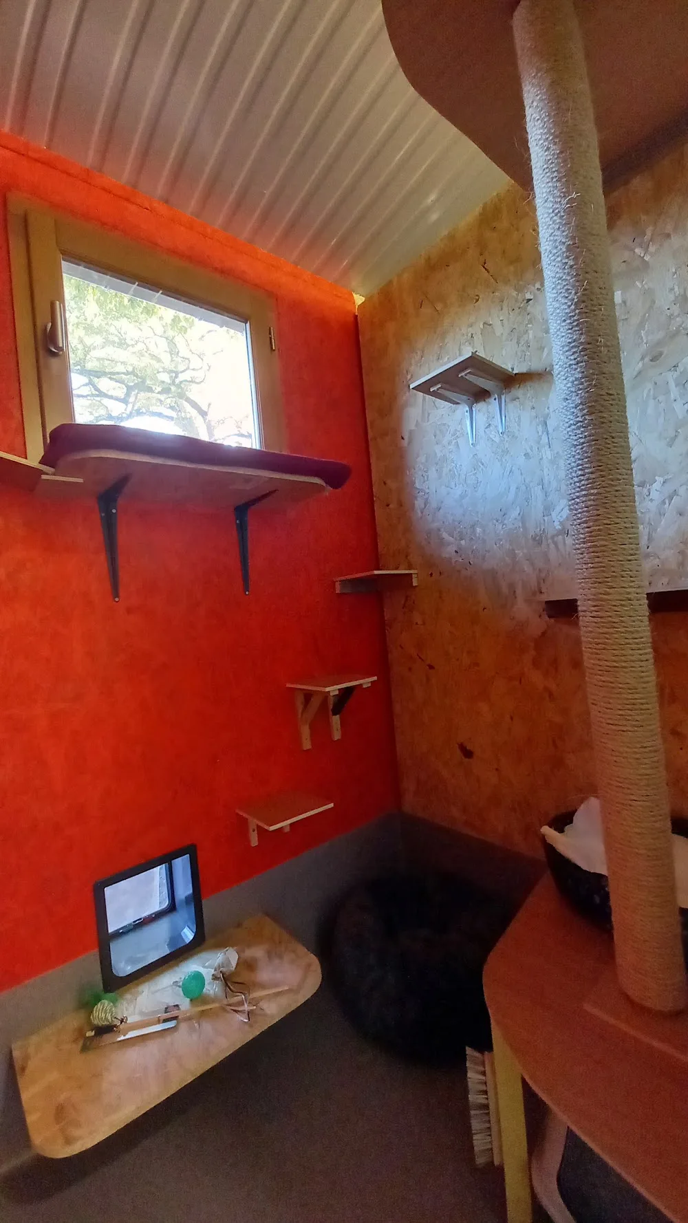A L'Ombre Des Chênes - Occitanie pet otel görseli 3