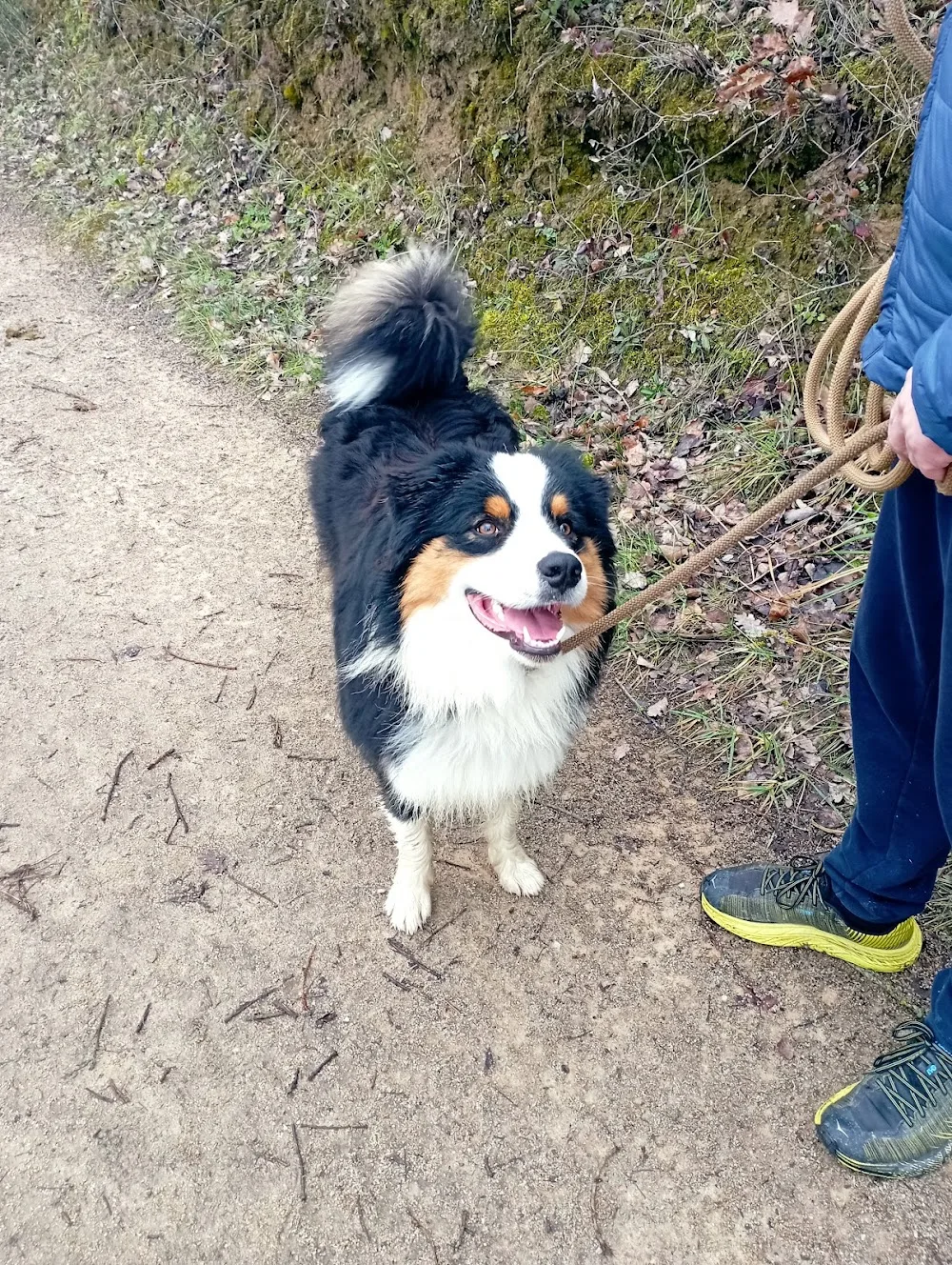 GARD'N DOG - Occitanie pet otel görseli 6