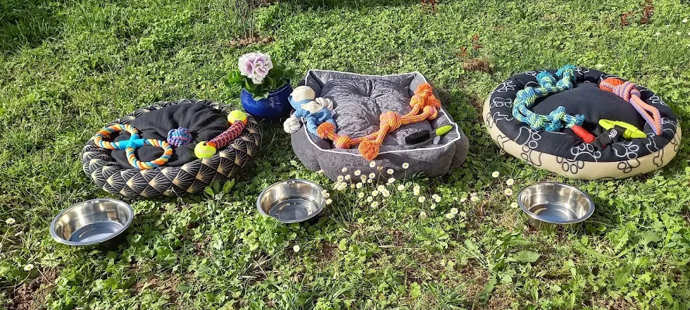 Le NORANDA - Occitanie pet otel görseli 6