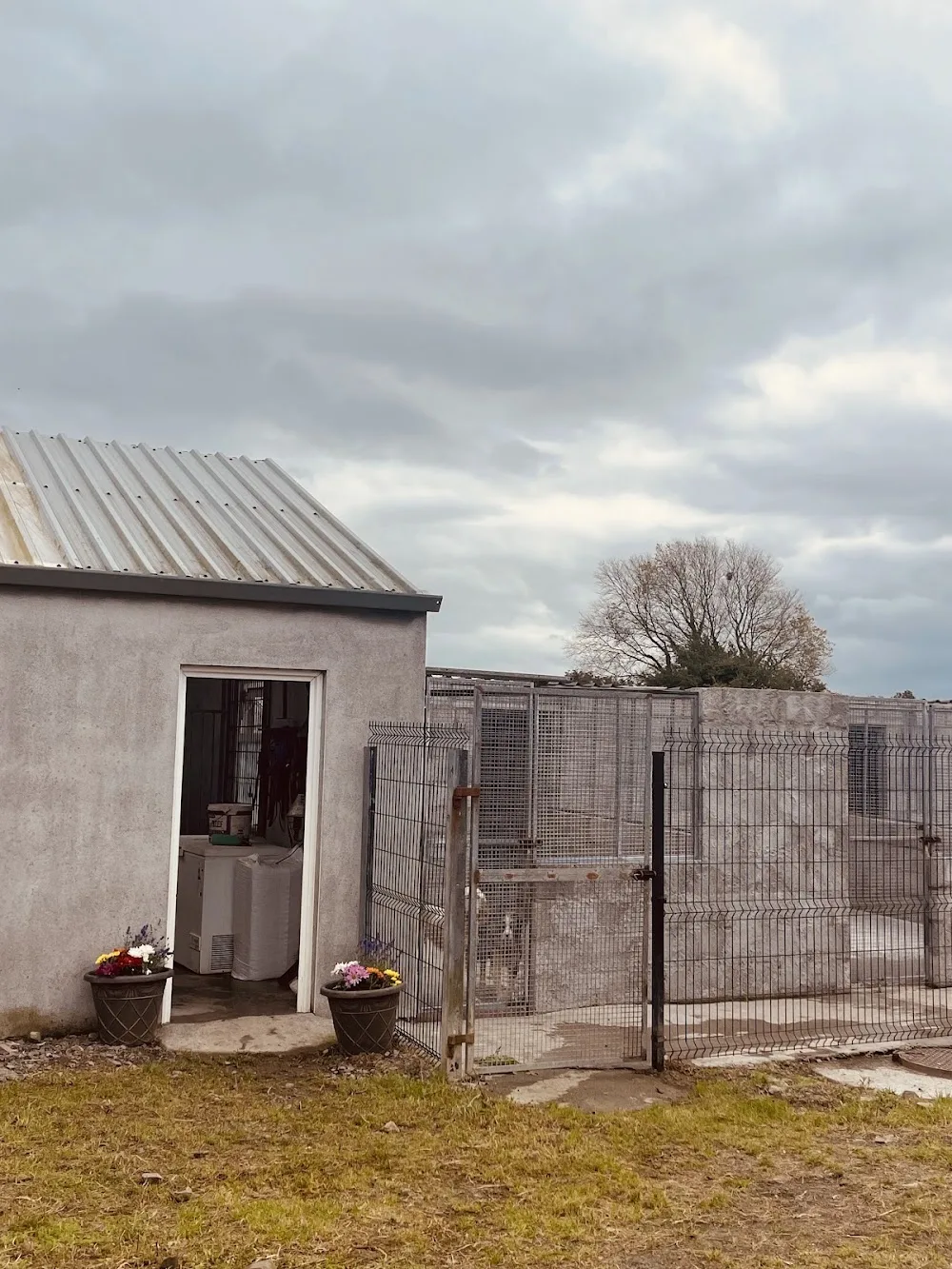Ballybritt boarding kennels - Offaly pet otel