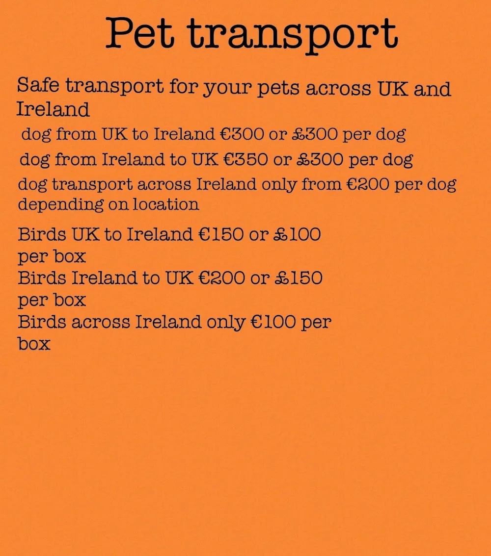 Offaly k9 - Offaly pet otel görseli 3