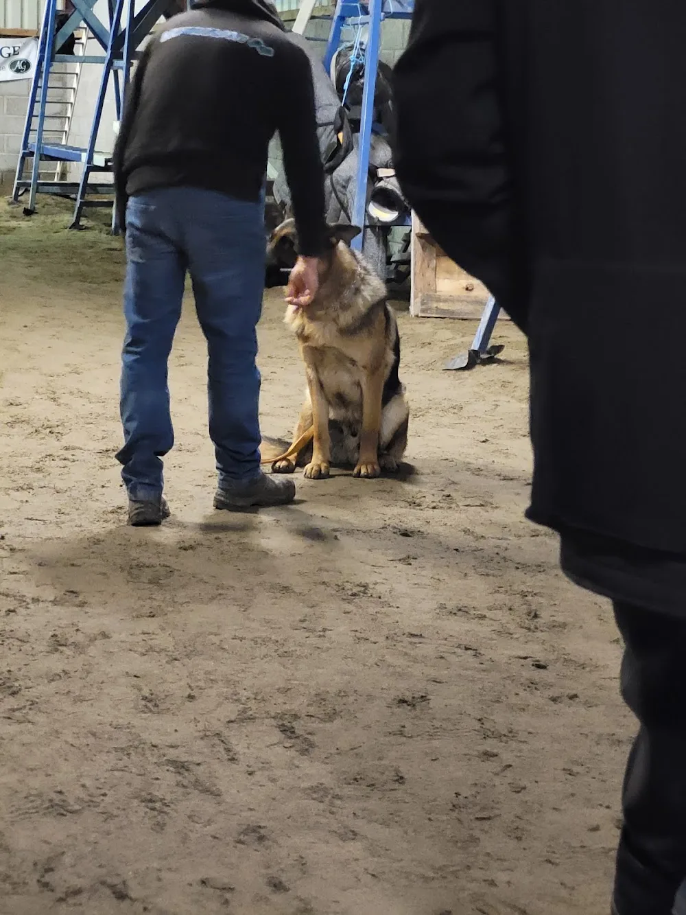 San Martin Kennels & Dog Training - Offaly pet otel görseli 6