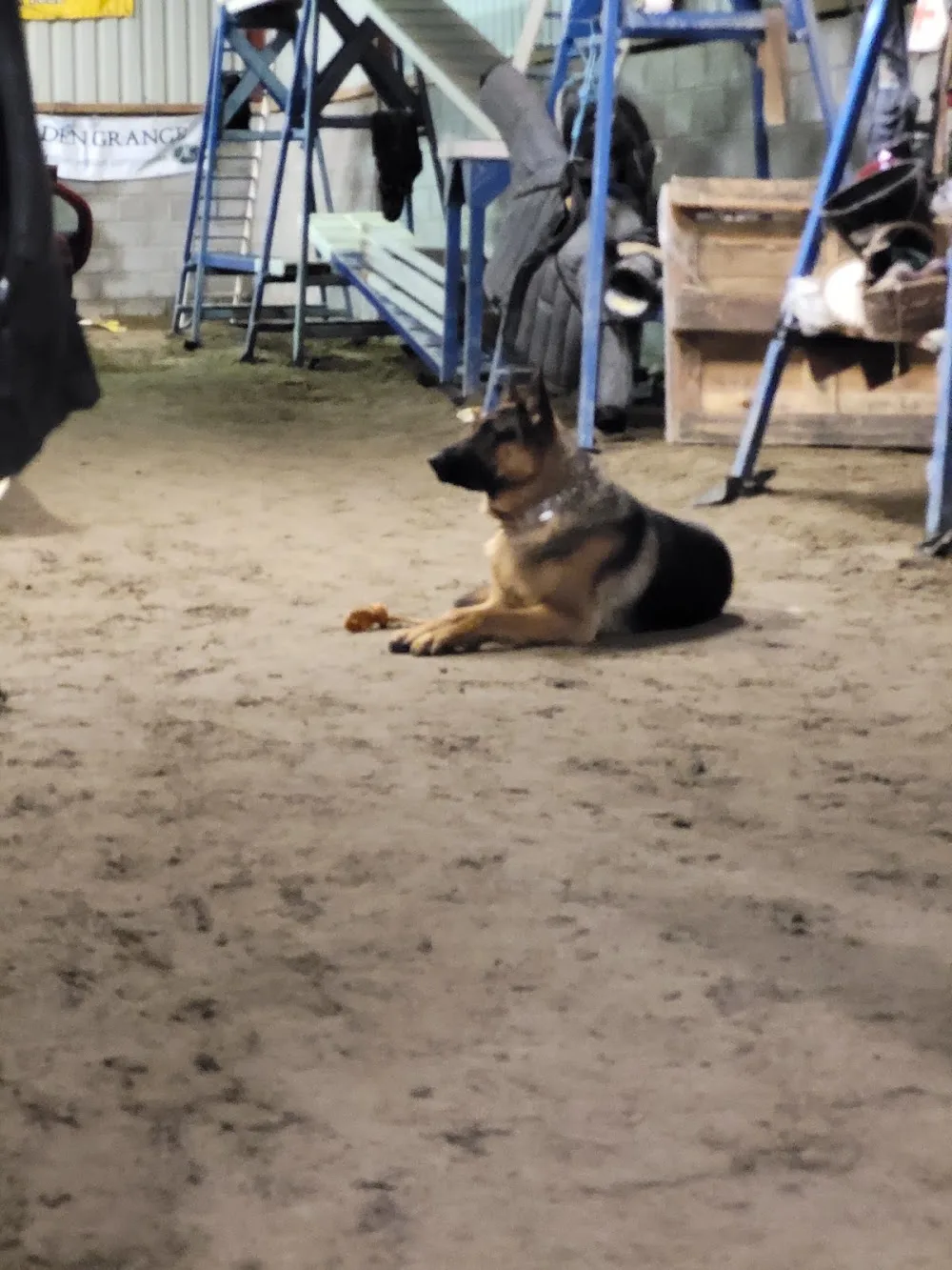 San Martin Kennels & Dog Training - Offaly pet otel görseli 7