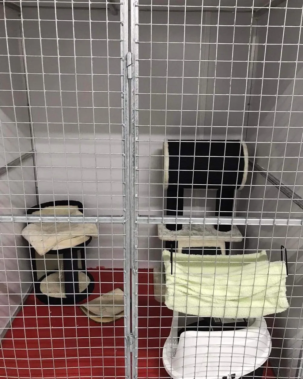 Twin Peaks Cattery & Kennels - Offaly pet otel görseli 3