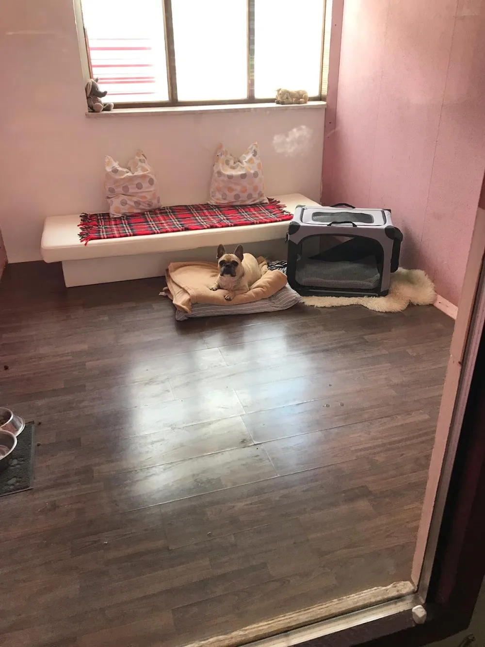 Hundehotel Studer - Offenhausen pet otel görseli 3