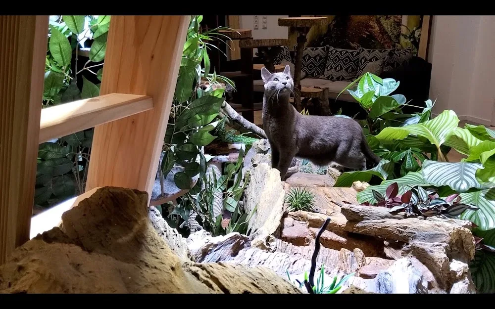 Jura Katzenhotel - Offenhausen pet otel görseli 6