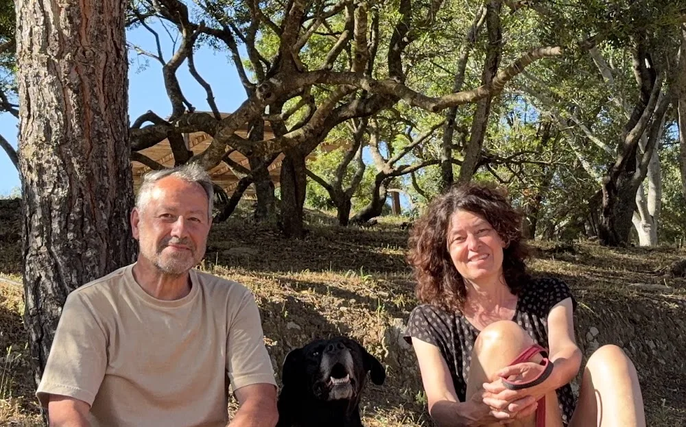 Canile - Associazione Ogliastra Soccorso Amici degli Animali - Ogliastra pet otel görseli 3