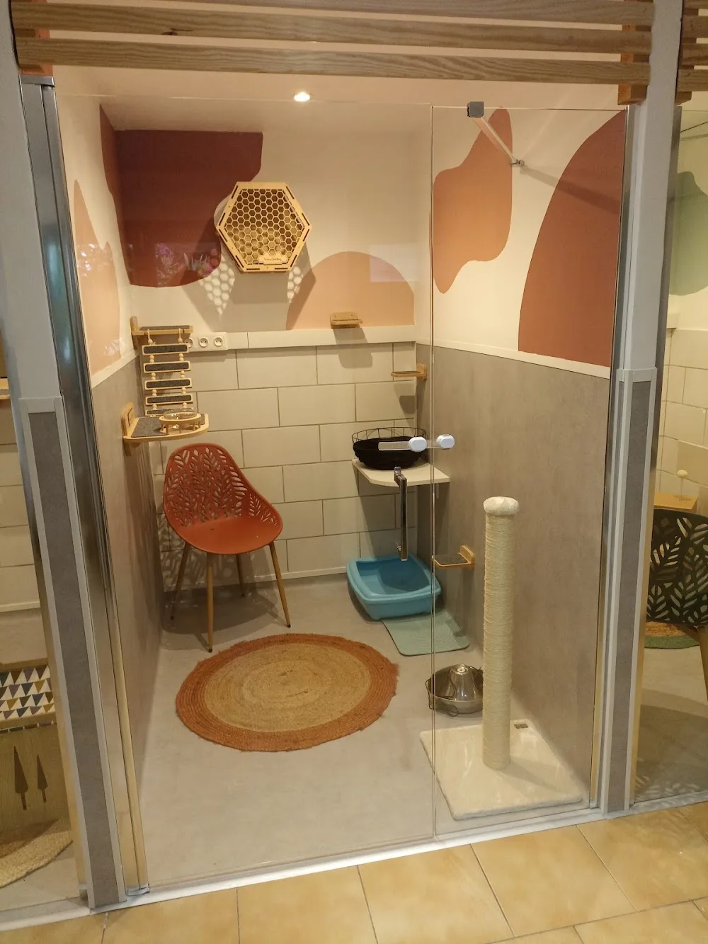 Fanny Catsitting - Oise pet otel görseli 6