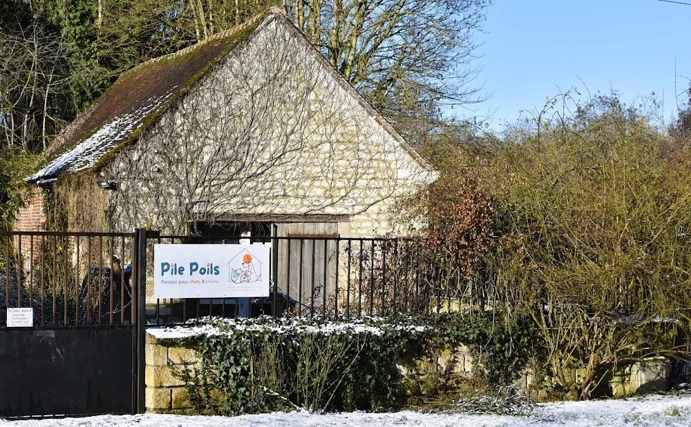 Pile Poils - pension féline et canine - Oise pet otel