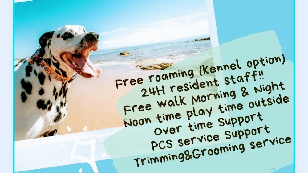 Happy tails okinawa pet hotel & grooming service - Okinawa pet otel