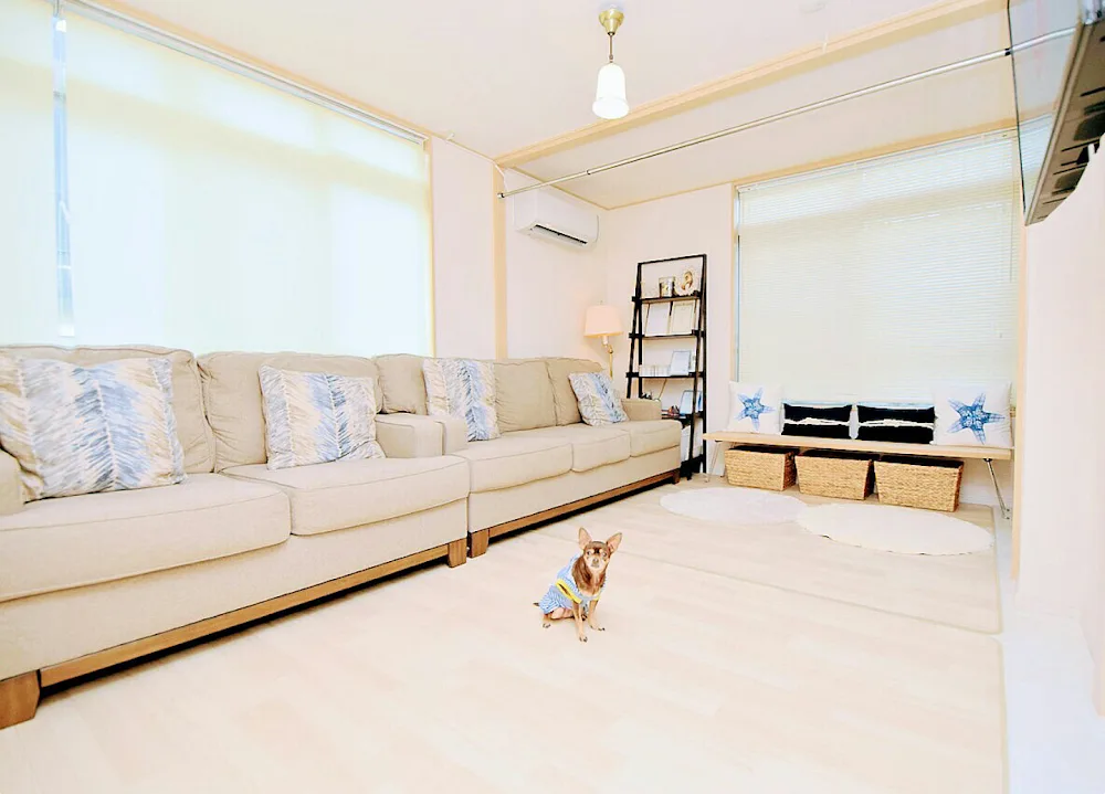 Happy tails okinawa pet hotel & grooming service - Okinawa pet otel görseli 3