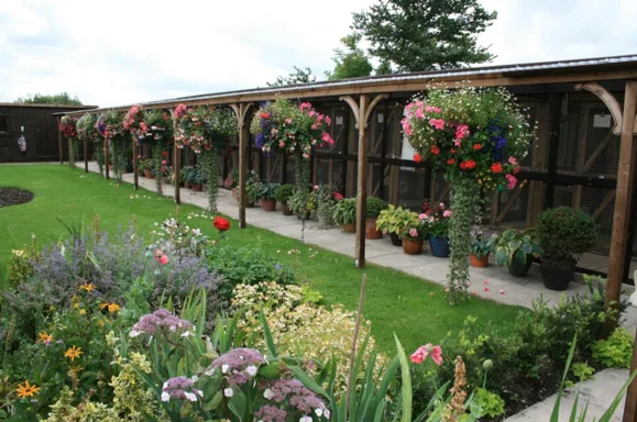 Cress Green Cattery - Oldbury on Severn pet otel
