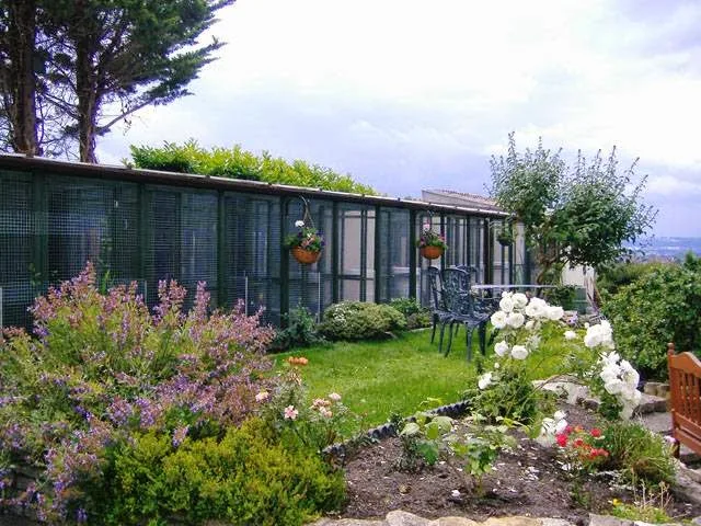 Purrfect solutions cattery - Oldbury on Severn pet otel