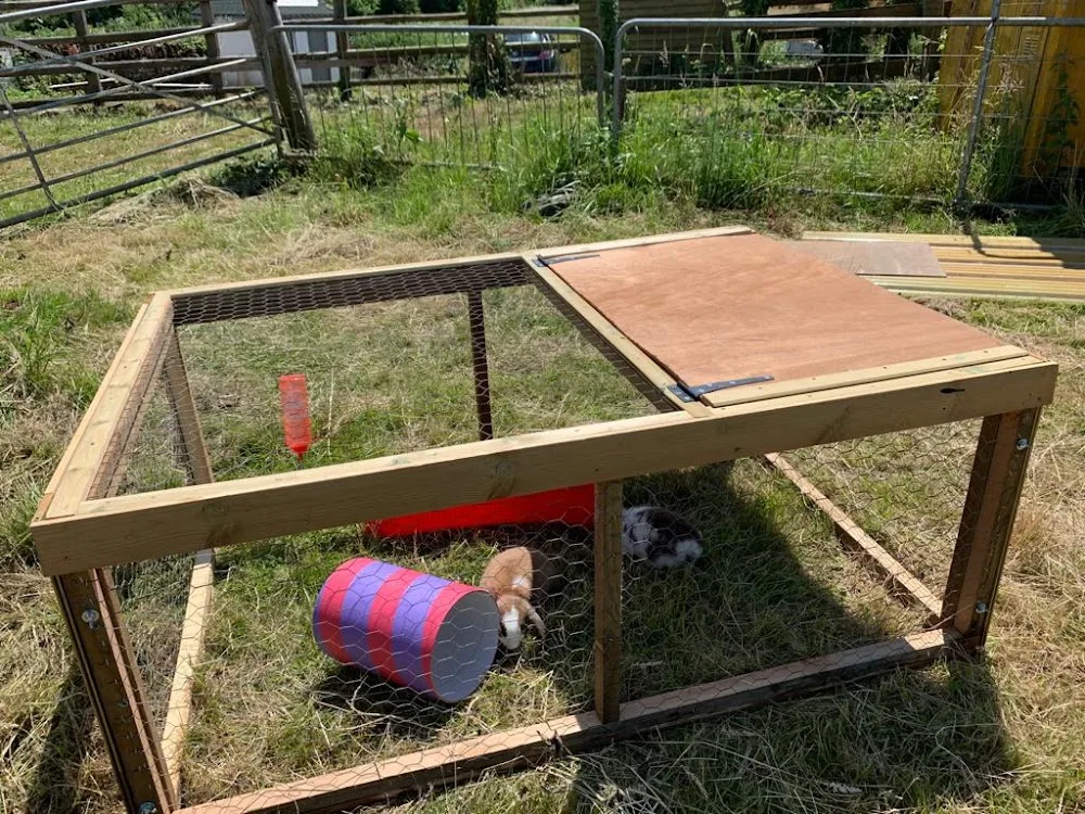 The Rabbit Hotel - Oldbury on Severn pet otel