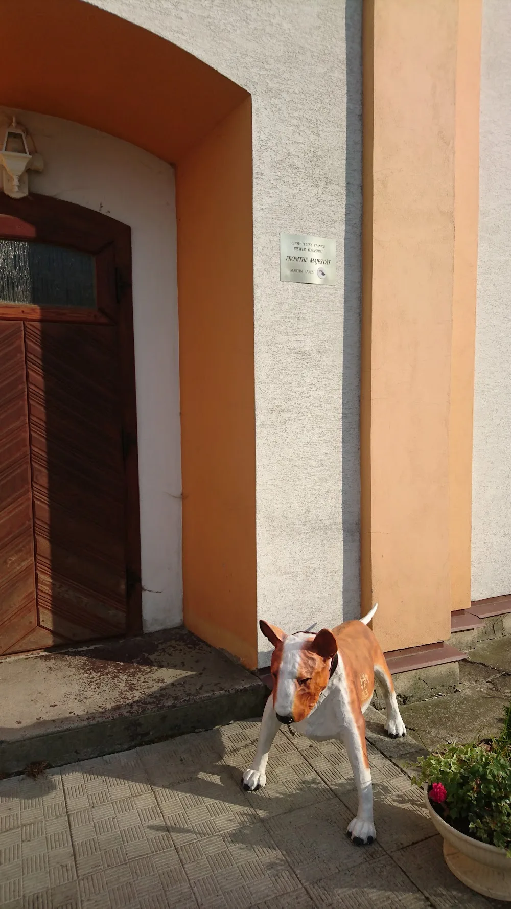 Chovatelská stanice Biewer Yorskshire - Olomoucký kraj pet otel