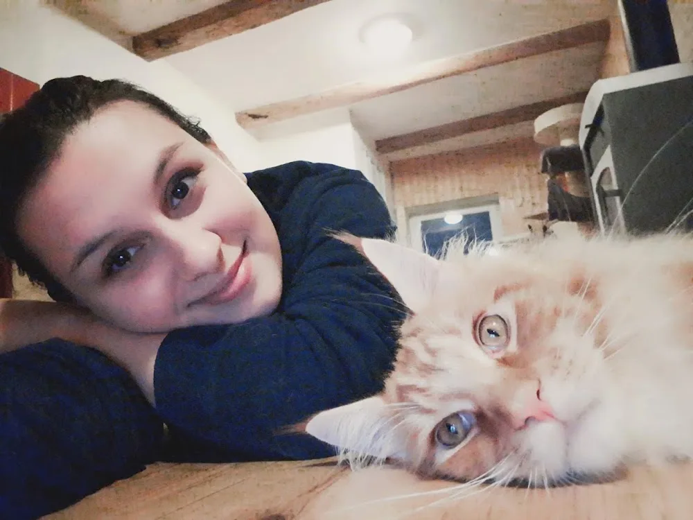 Kitty Sitting - hlídání koček - Olomoucký kraj pet otel