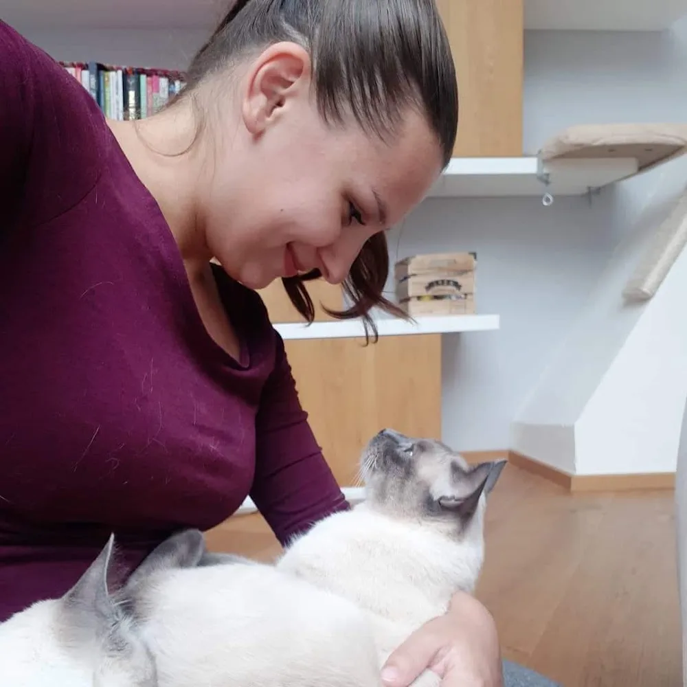 Kitty Sitting - hlídání koček - Olomoucký kraj pet otel görseli 3