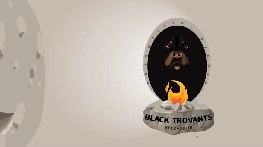 Black Trovants Kennel - Olt pet otel