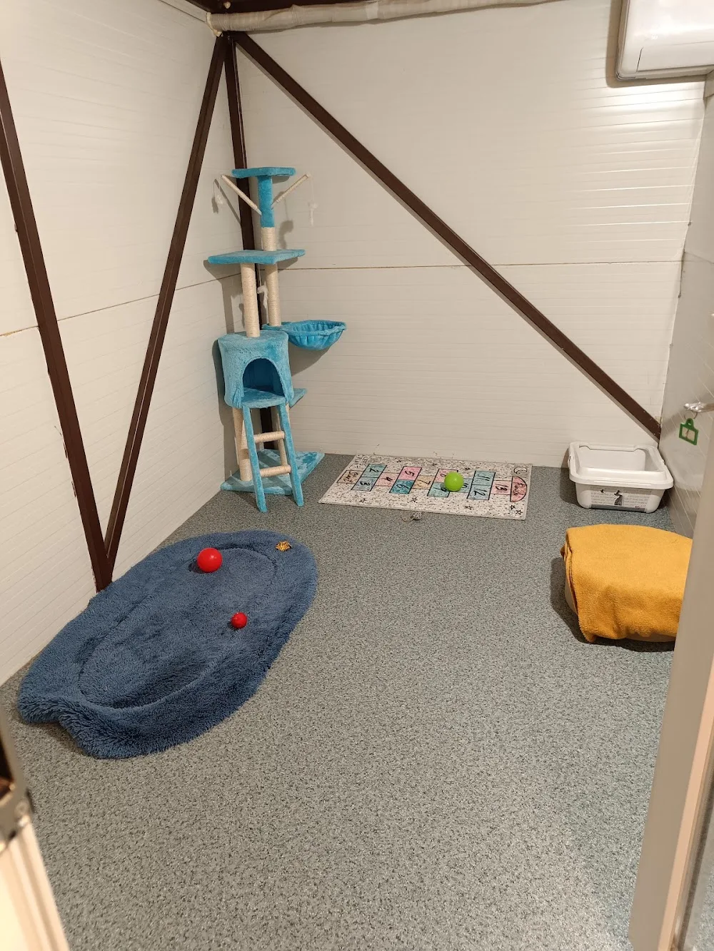 Pensiune/Cazare pisici - Olt pet otel