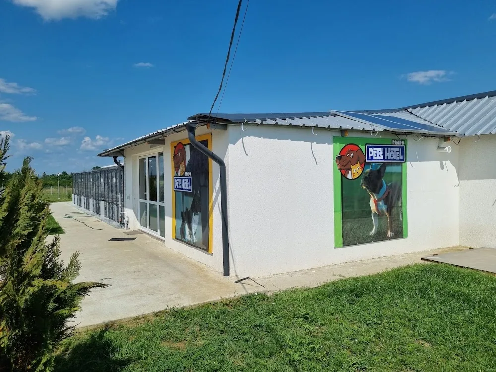 Pets Hotel Bradu - Olt pet otel