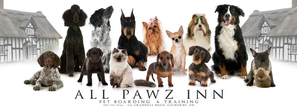 All Pawz Inn - Ontario pet otel