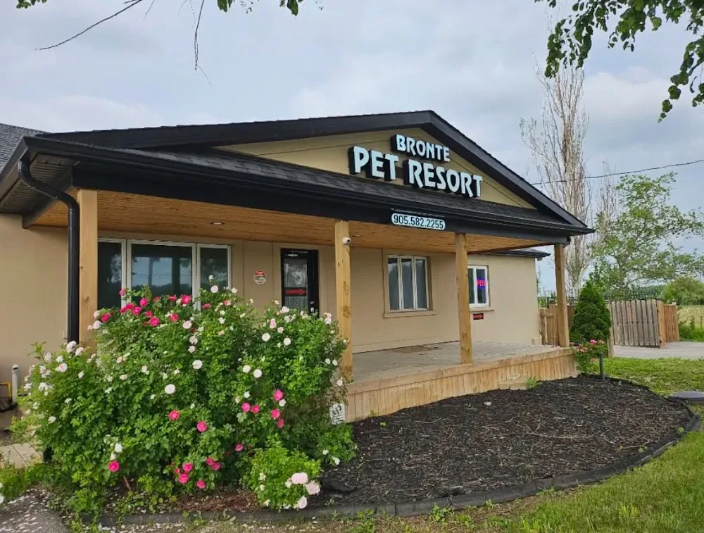Bronte Pet Resort - Ontario pet otel görseli 2