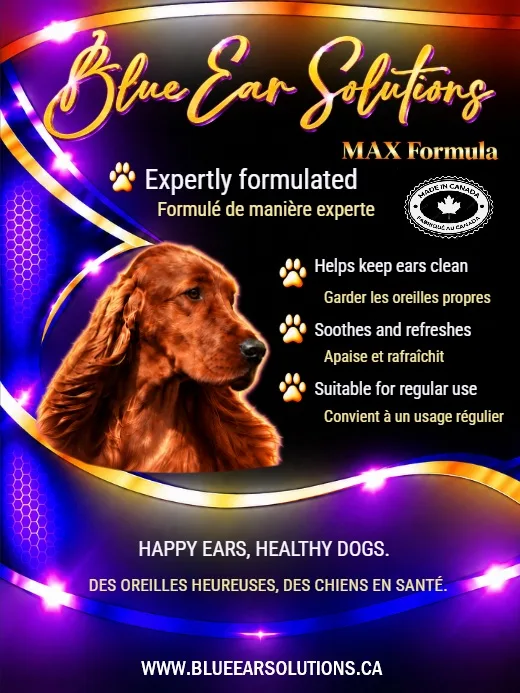 Captiva Kennels/Blue Ear Solutions - Ontario pet otel