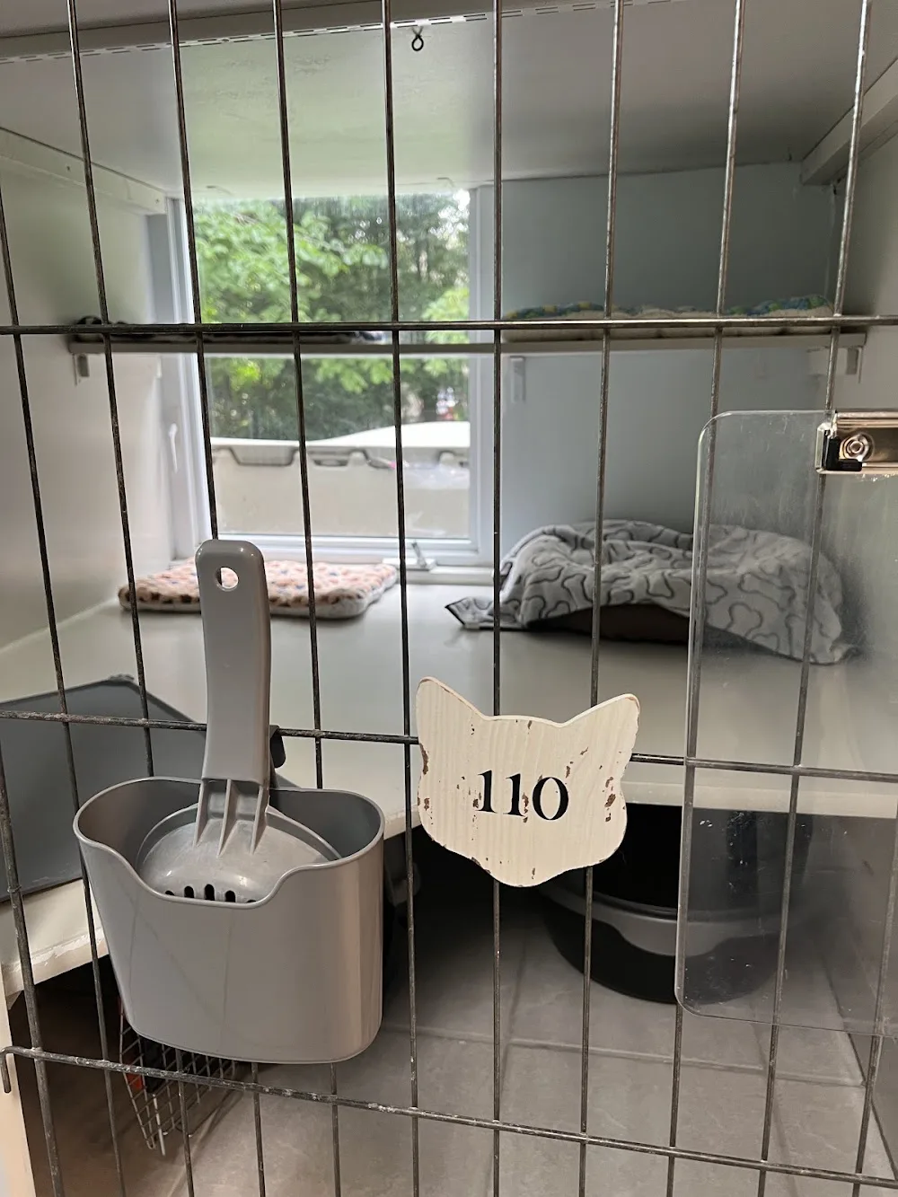Cats Only Bed & Breakfast - Ontario pet otel görseli 3