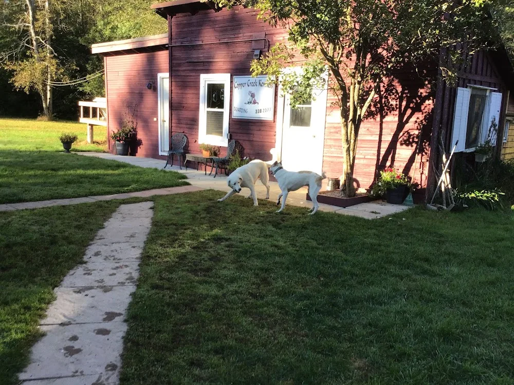 Copper Creek Kennels - Ontario pet otel