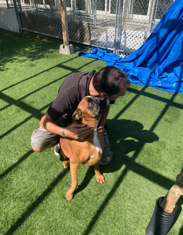 DogEden Pet Resort - Ontario pet otel görseli 3