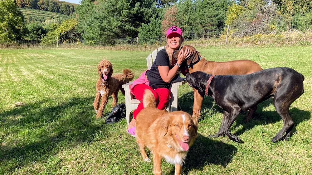 Don't Forget Me! Dog Boarding & Day Care - Ontario pet otel görseli 2