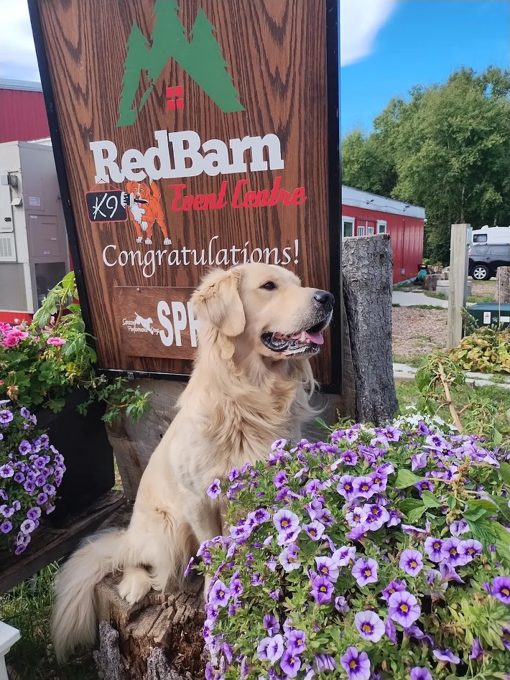 Eden Kennels - Ontario pet otel görseli 2