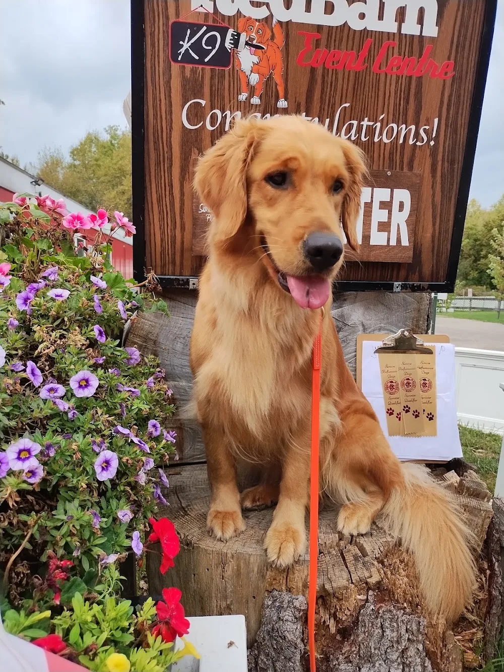 Eden Kennels - Ontario pet otel görseli 3