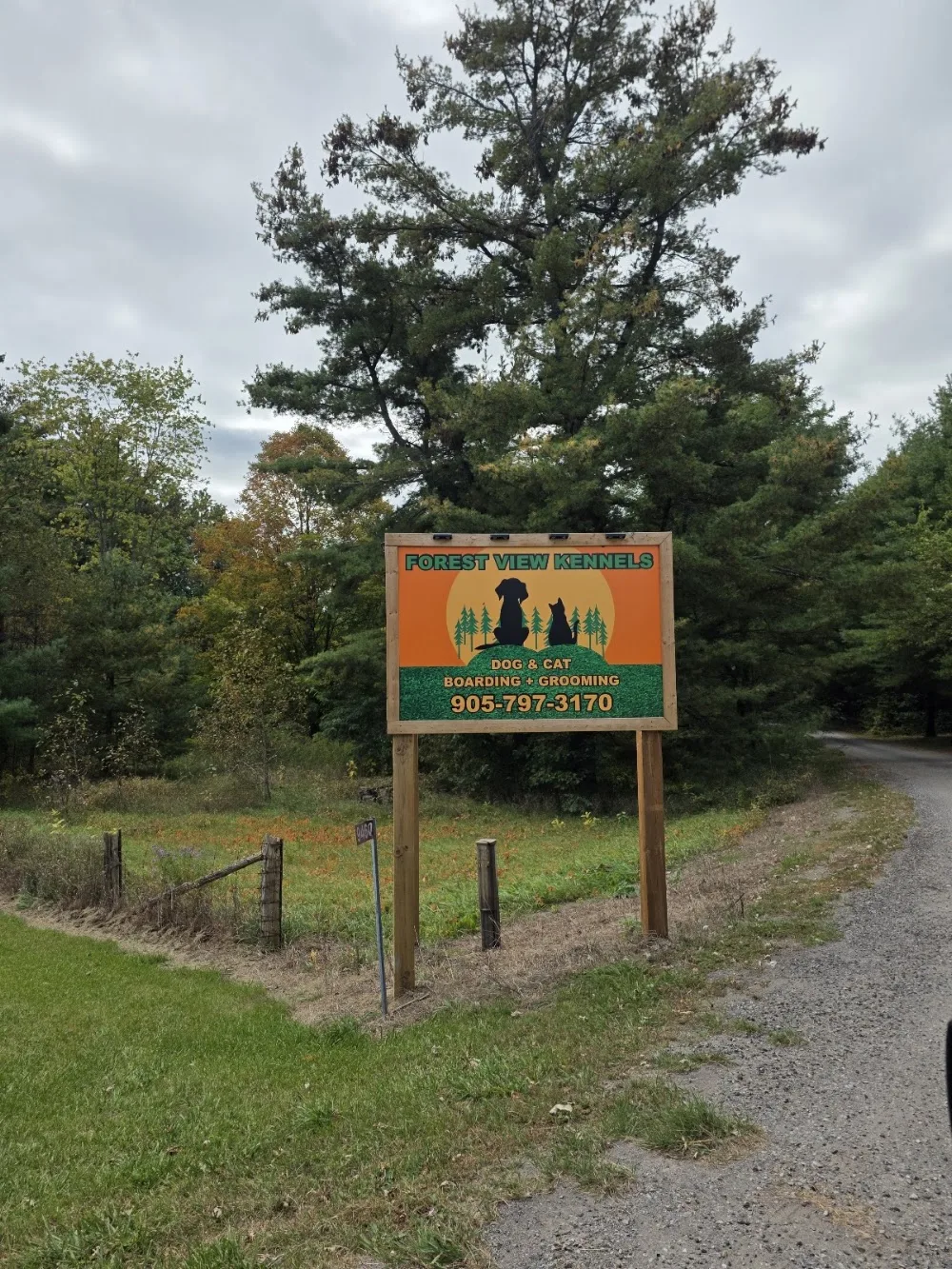 Forest View Kennels - Ontario pet otel görseli 2