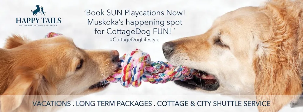 Happy Tails Pet Resort & Camp - Ontario pet otel