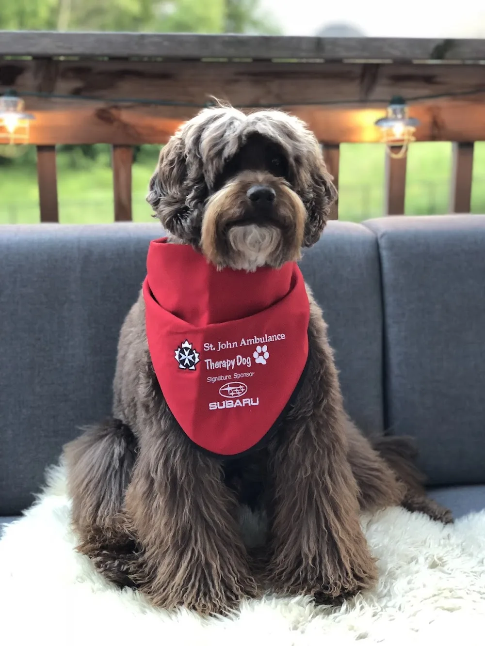 Heartland Kennels - Ontario pet otel görseli 2