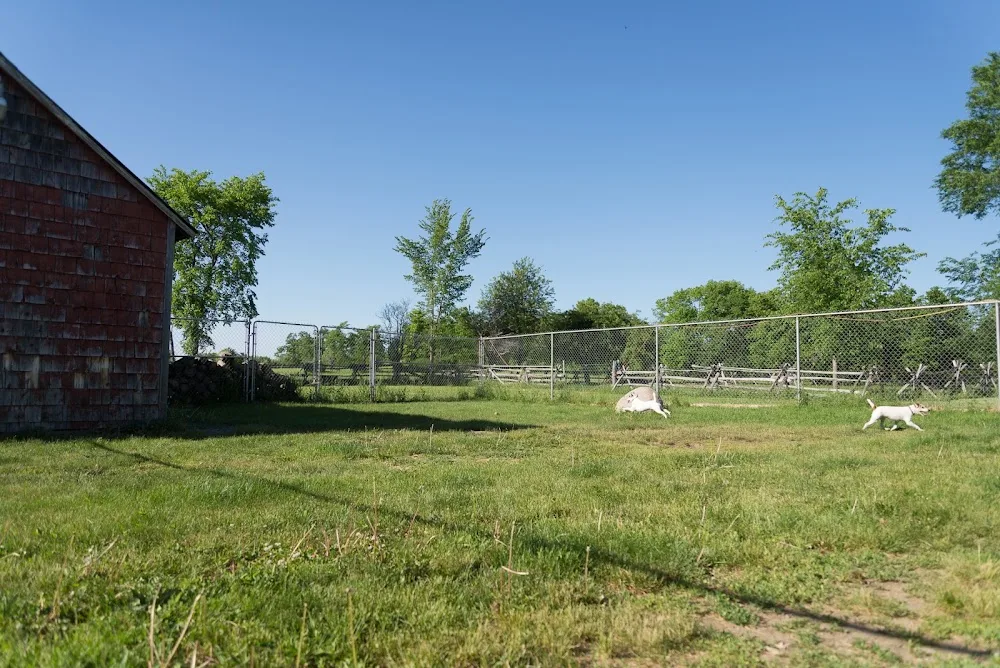Kirton's Kennels - Ontario pet otel görseli 3