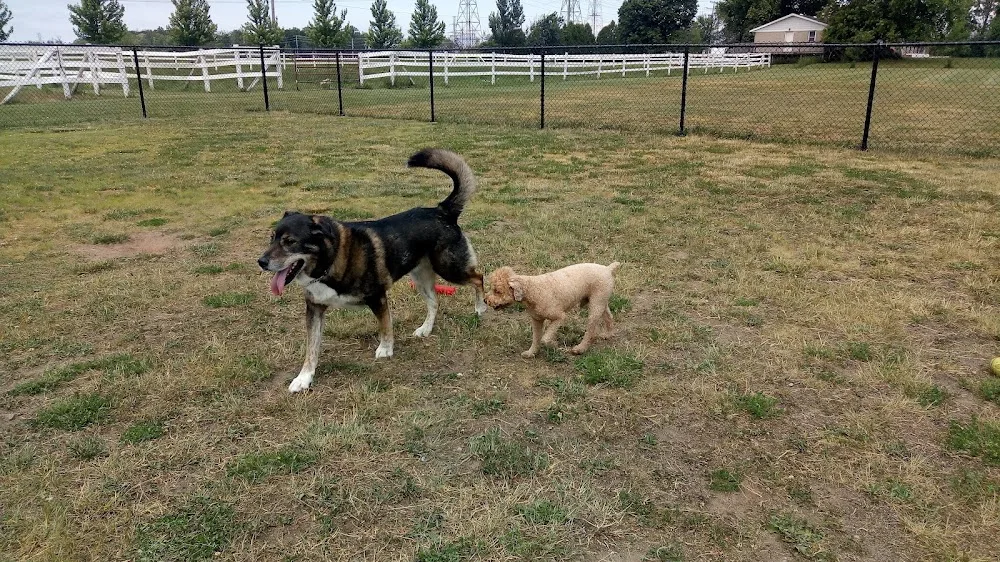 Meadowview Pet Resort - Ontario pet otel görseli 3